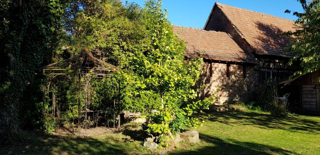 Gite A La Petite Fontaine-Plain Pied-Maison Alsacienne Renovee Avec Passion-4 Pers-4Nuitees Minimum Langensoultzbach ภายนอก รูปภาพ