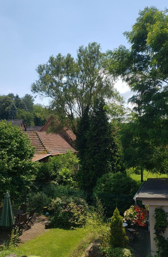 Gite A La Petite Fontaine-Plain Pied-Maison Alsacienne Renovee Avec Passion-4 Pers-4Nuitees Minimum Langensoultzbach ภายนอก รูปภาพ