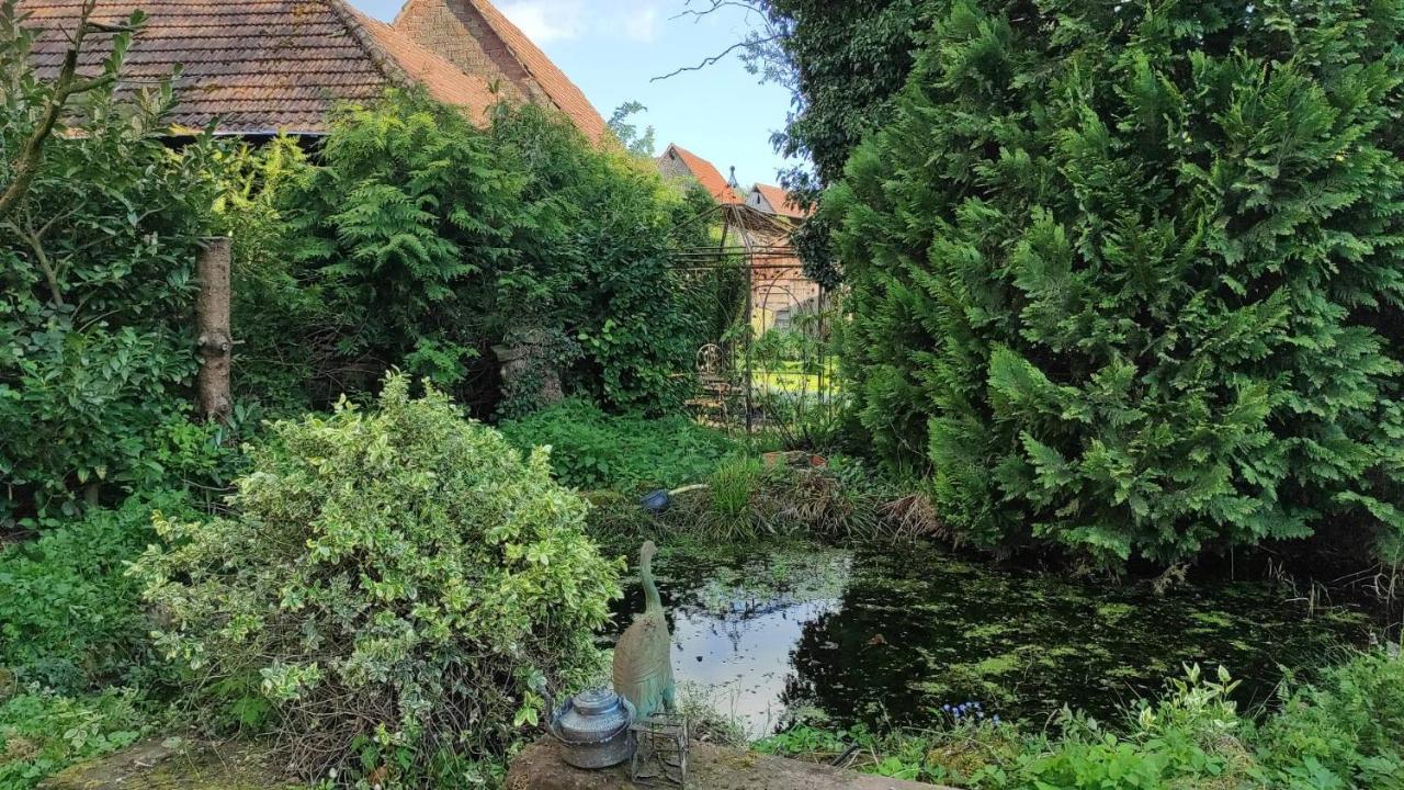 Gite A La Petite Fontaine-Plain Pied-Maison Alsacienne Renovee Avec Passion-4 Pers-4Nuitees Minimum Langensoultzbach ภายนอก รูปภาพ
