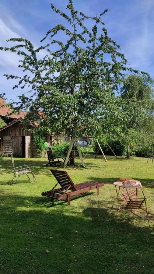 Gite A La Petite Fontaine-Plain Pied-Maison Alsacienne Renovee Avec Passion-4 Pers-4Nuitees Minimum Langensoultzbach ภายนอก รูปภาพ