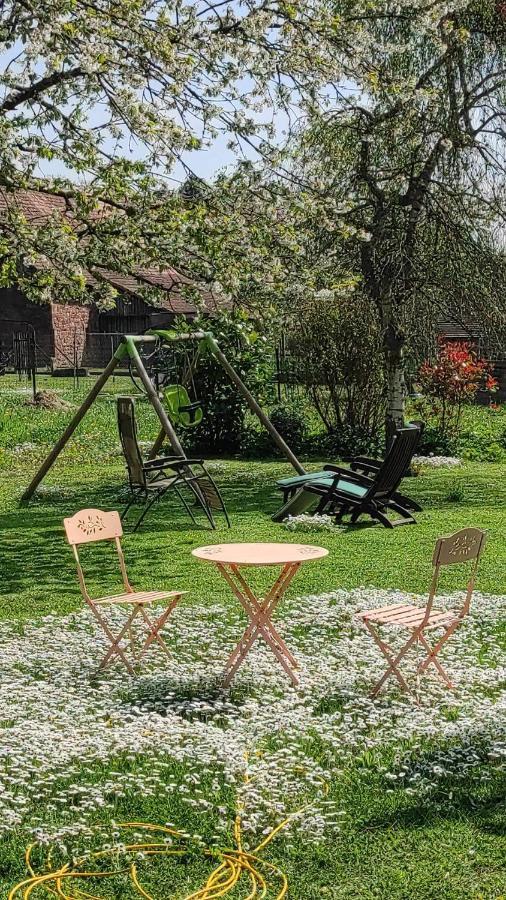 Gite A La Petite Fontaine-Plain Pied-Maison Alsacienne Renovee Avec Passion-4 Pers-4Nuitees Minimum Langensoultzbach ภายนอก รูปภาพ